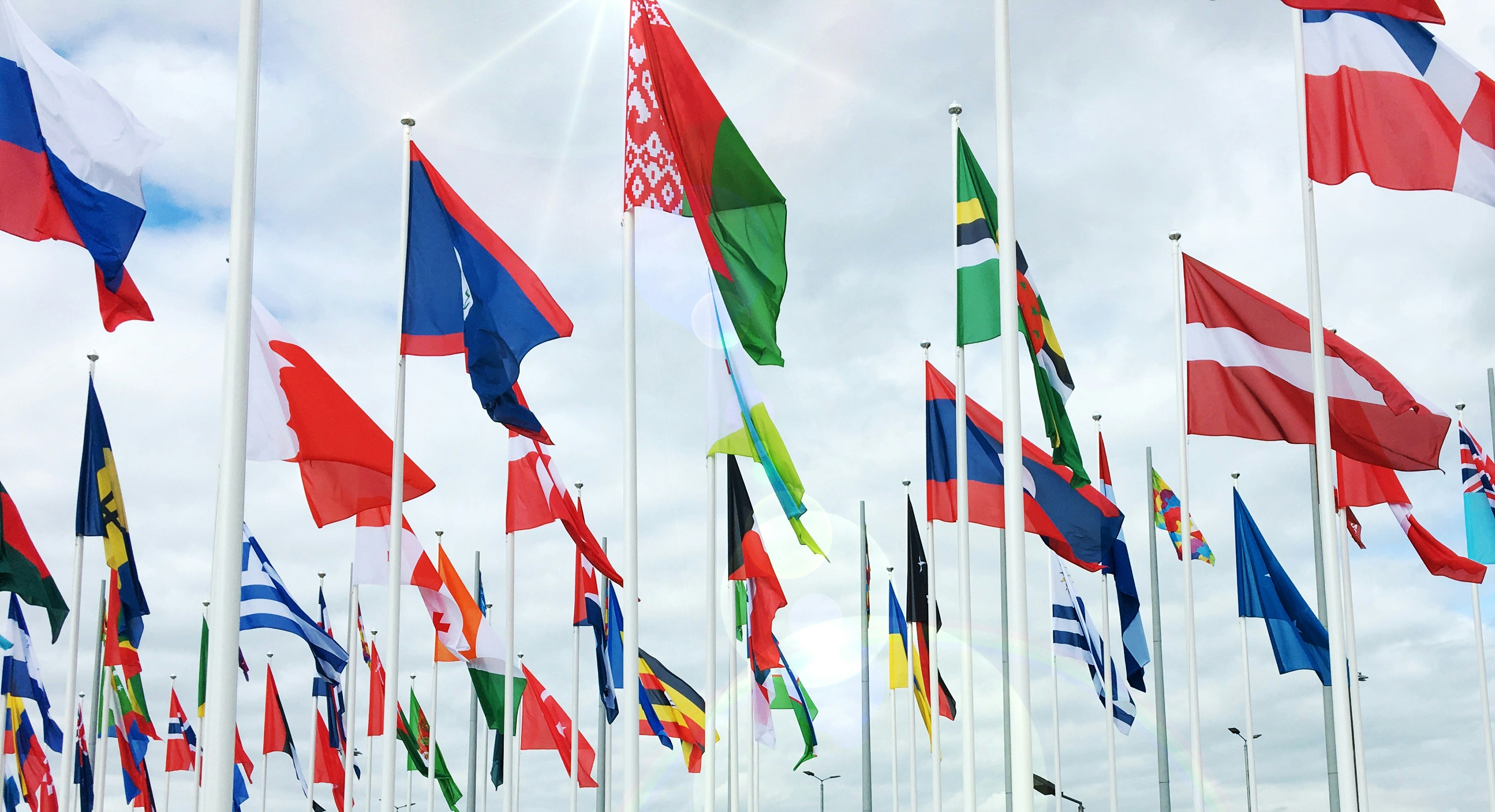 Flags – Law Offices of Jennifer Charak
